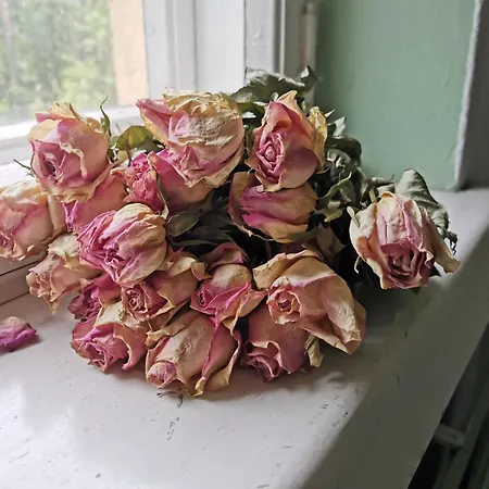 Beautiful 2 Bed Sauna Facility In Διαμέρισμα